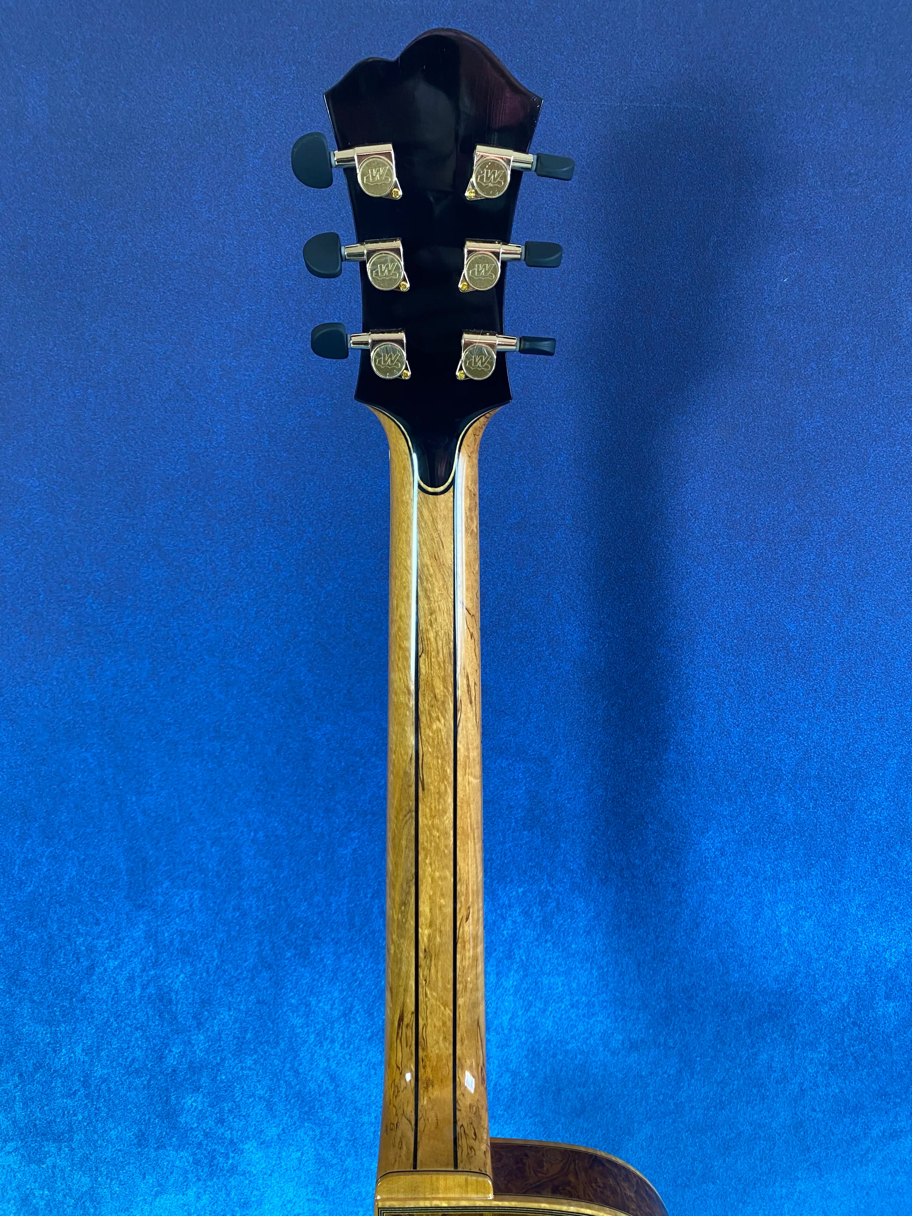 Jazz Guitar Spruce Top Hollow Body Gloss Finish Ebony Fingerboard Professional Yunzhi YZA25 Discounted