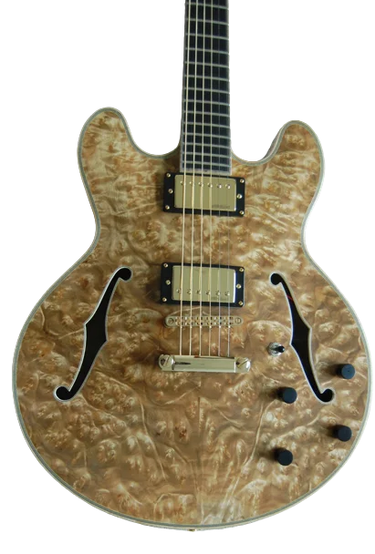 Yunzhi Customizable Archtop Maple Handcrafted Hollow Body Jazz Acoustic Electric Guitar with Ebony Fingerboard