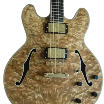 Yunzhi YZ Archtop Jazz Electric Guitar Maple Neck Burr Maple Hollow Body with Ebony Fingerboard Maple Back/Sides China