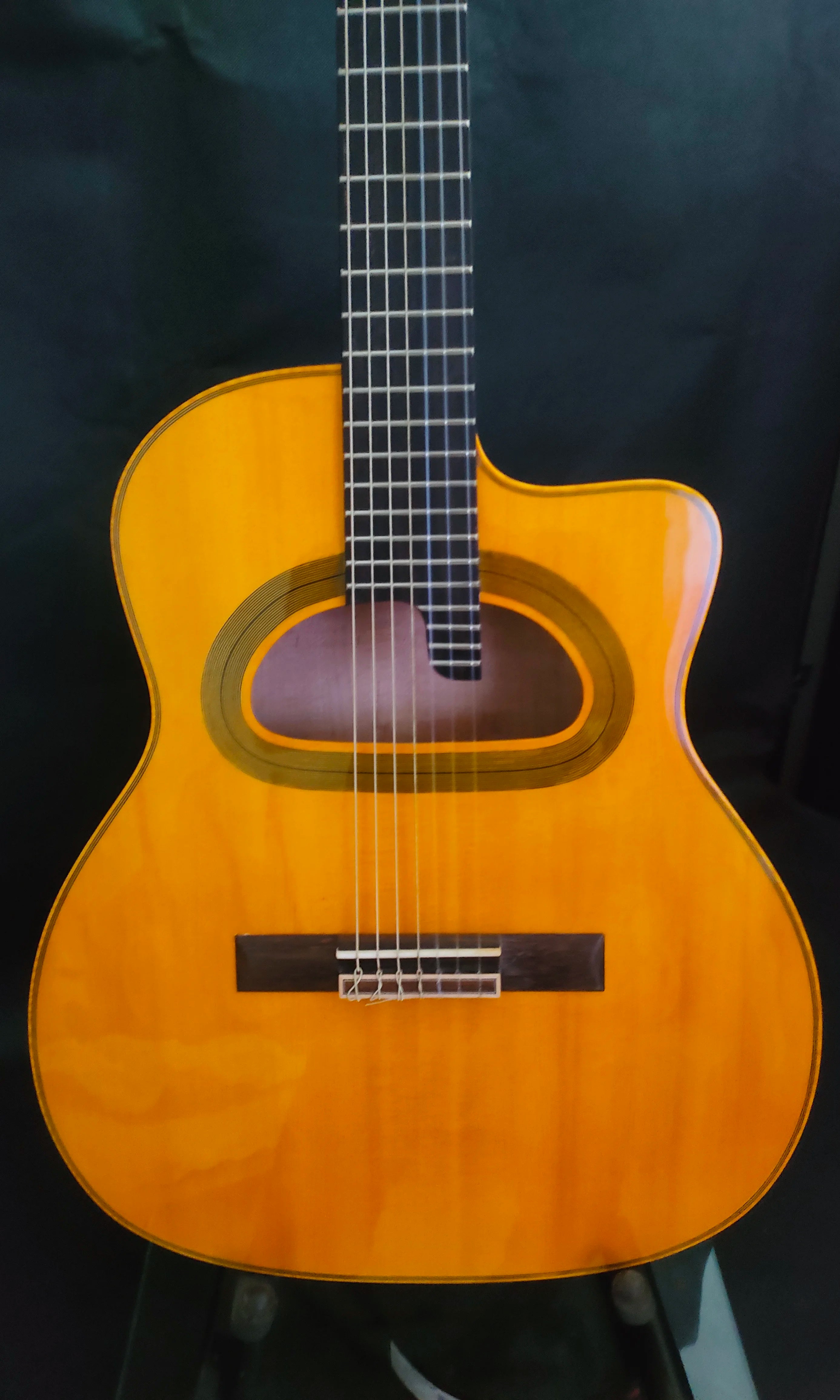 YUnzhi Customizable 7-String D Soundhole Jazz Guitar Flamed Maple Top Ebony Fretboard Hollow Custom Cutaway Acoustic Archtop